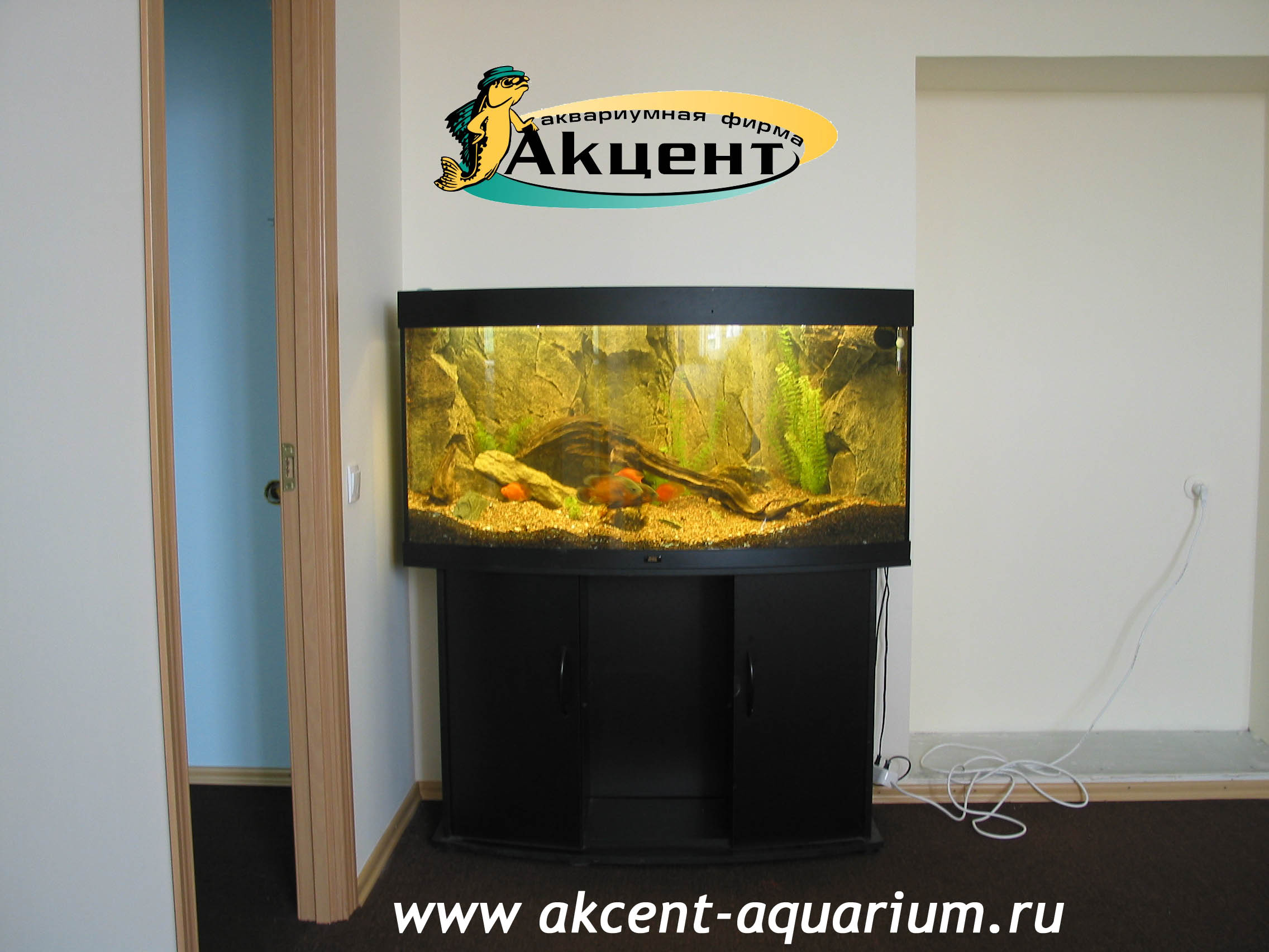 Акцент-аквариум, аквариум с 240 литров, с объемным фоном гнутым передним стеклом